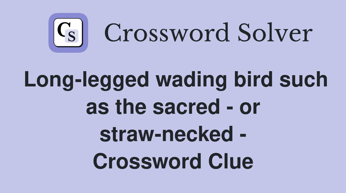 Long-legged wading bird such as the sacred - or straw-necked - Crossword Clue
