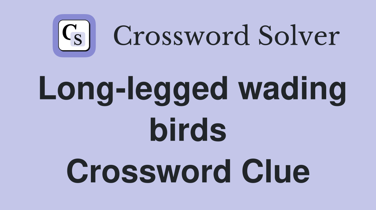 Long-legged wading birds Crossword Clue
