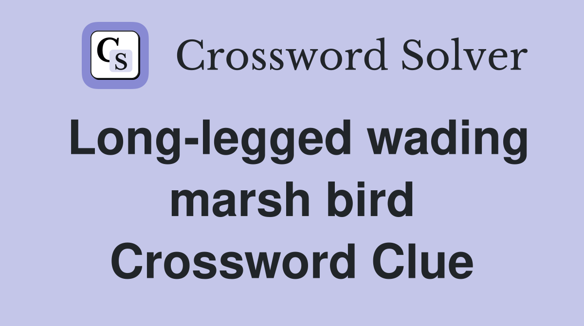 Long-legged wading marsh bird Crossword Clue