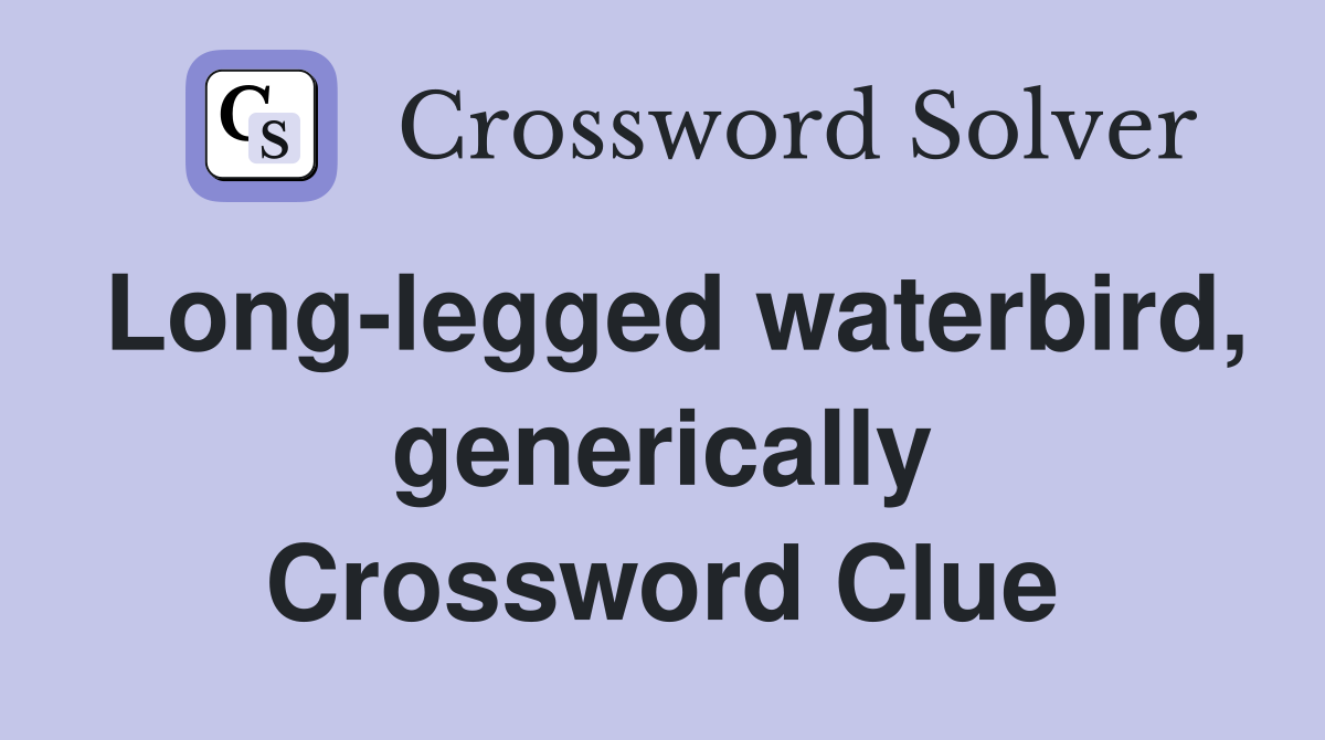 Long-legged waterbird, generically Crossword Clue
