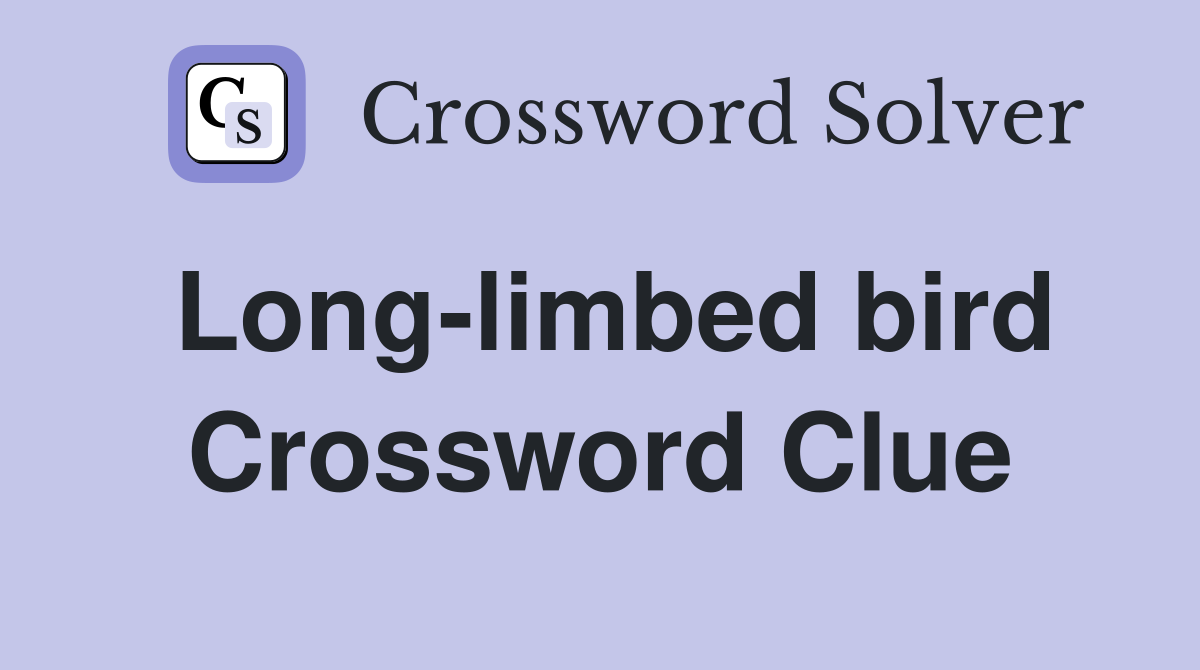 Long-limbed bird Crossword Clue