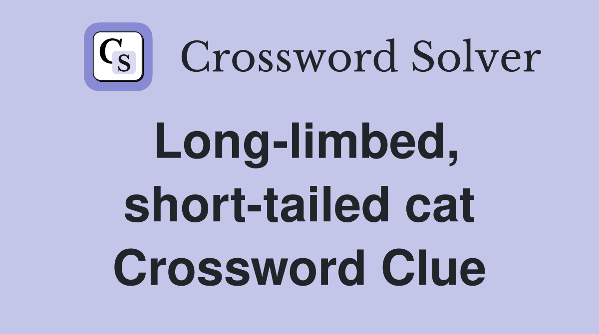 Long-limbed, short-tailed cat Crossword Clue