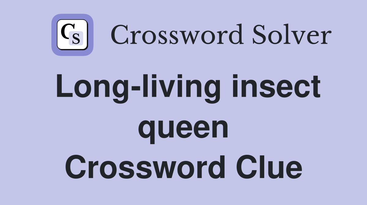 Long-living insect queen Crossword Clue