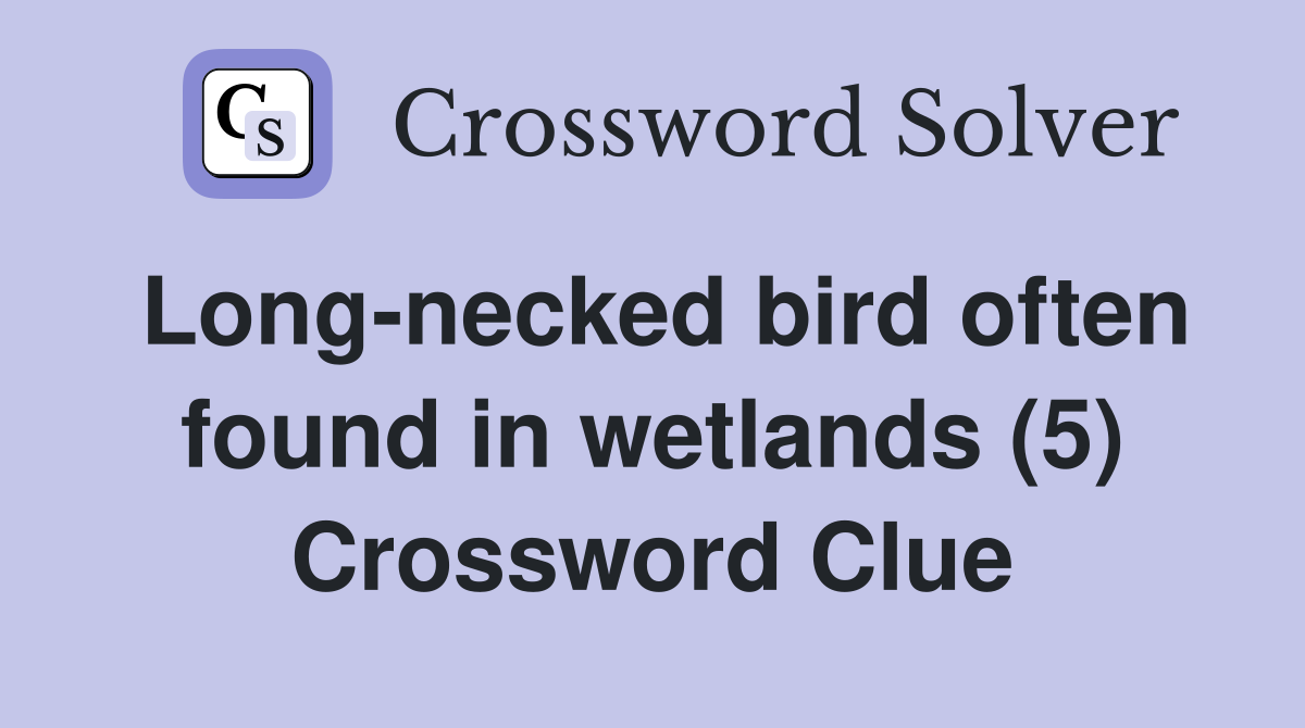 Long-necked bird often found in wetlands (5) Crossword Clue