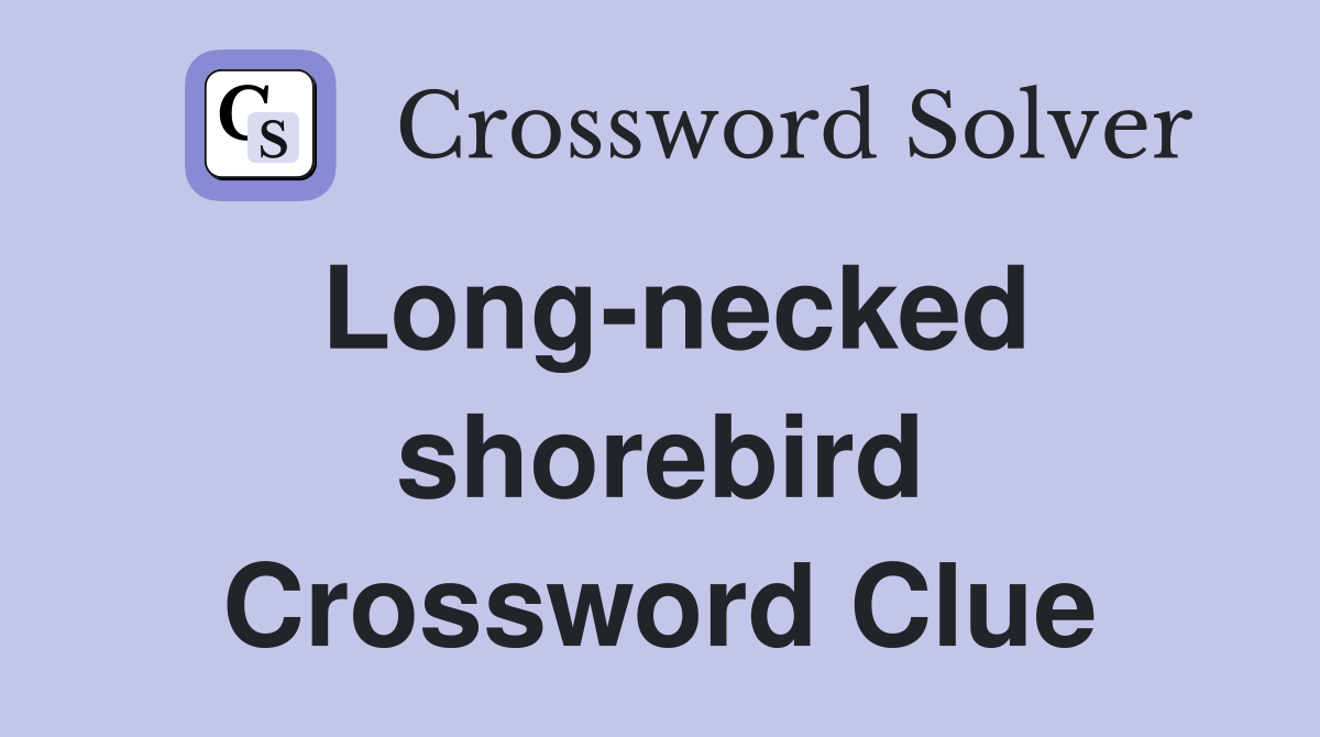 Long-necked shorebird Crossword Clue