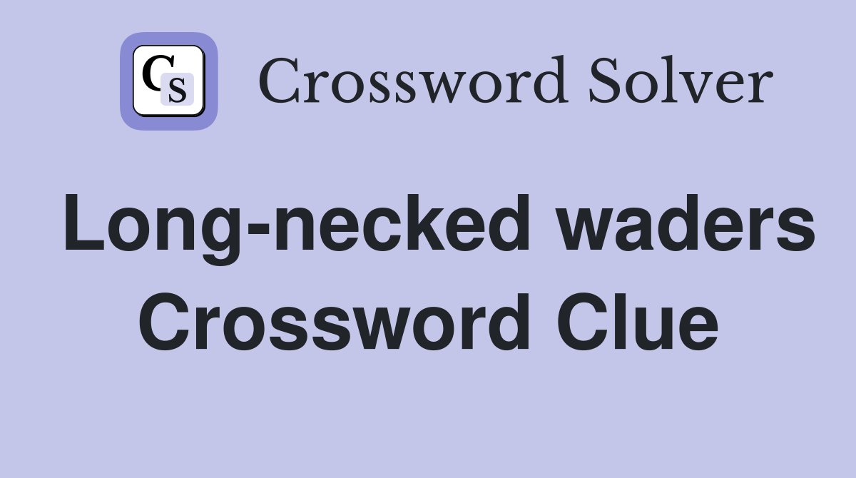 Long-necked waders Crossword Clue