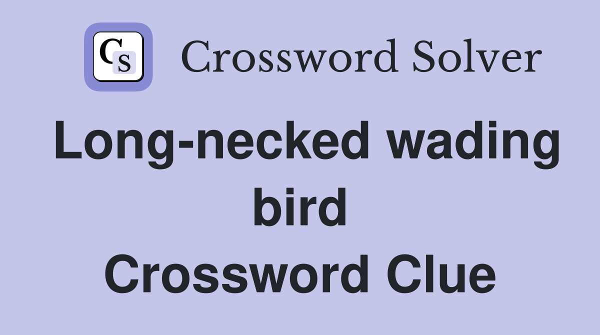 Long-necked wading bird Crossword Clue