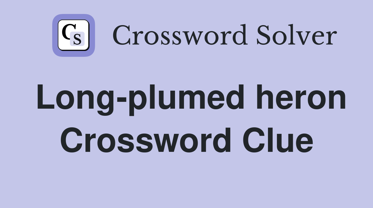 Long-plumed heron Crossword Clue