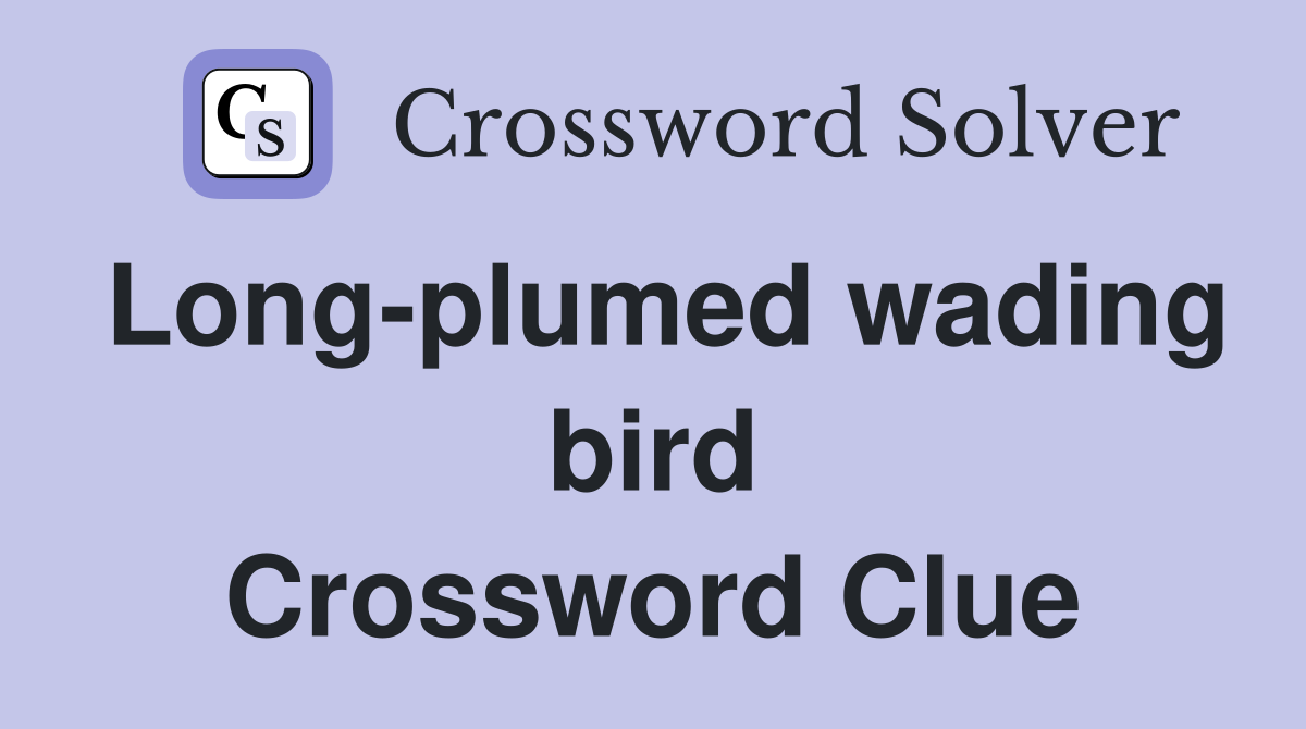 Long-plumed wading bird Crossword Clue