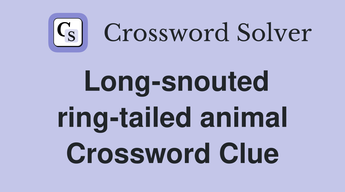 Long-snouted ring-tailed animal Crossword Clue