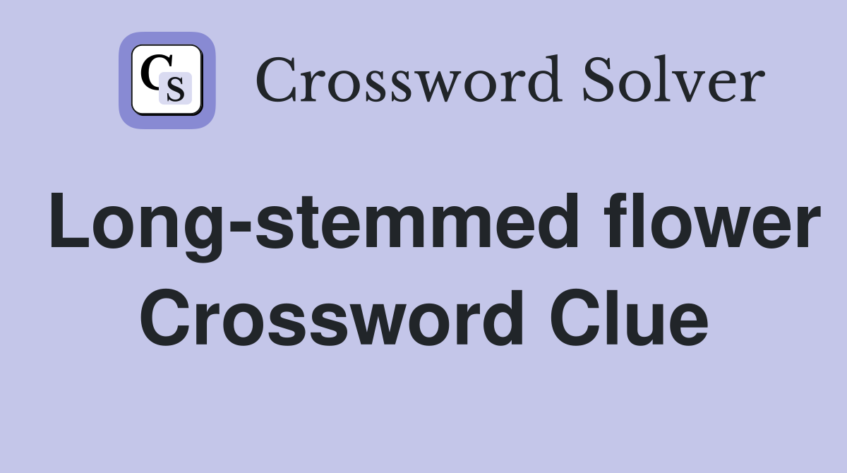 Long-stemmed flower Crossword Clue