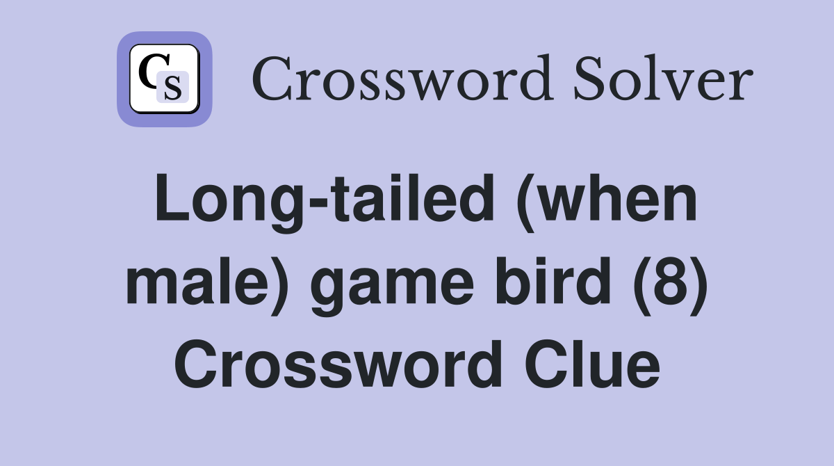 Long-tailed (when male) game bird (8) Crossword Clue