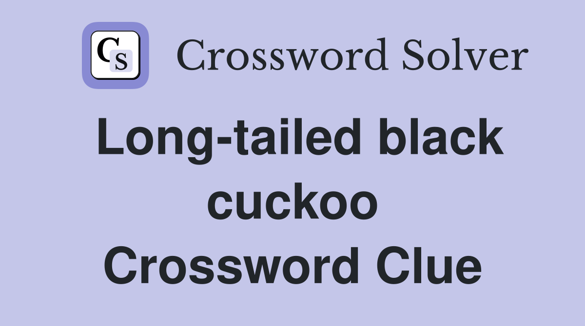 Long-tailed black cuckoo Crossword Clue