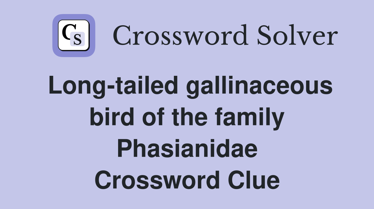 Long-tailed gallinaceous bird of the family Phasianidae Crossword Clue
