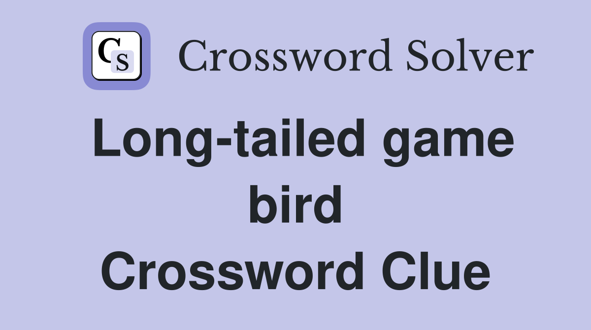 Long-tailed game bird Crossword Clue