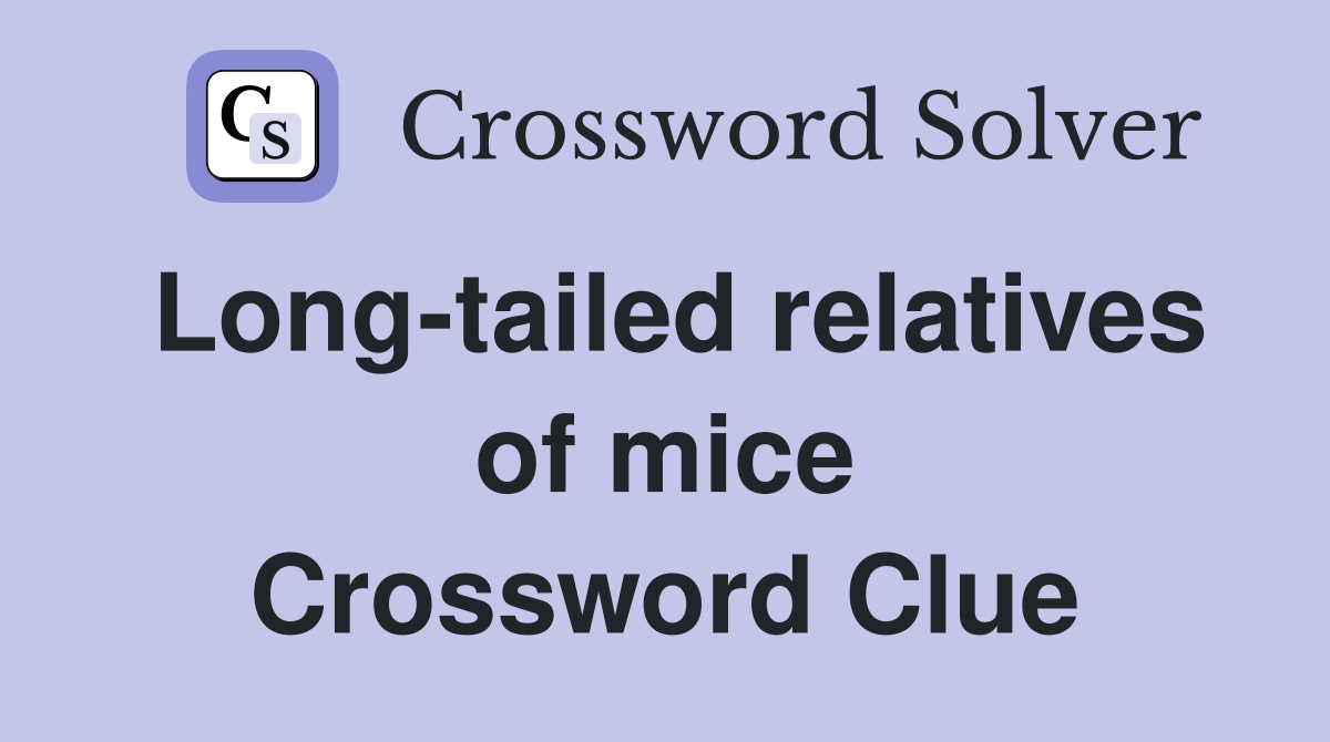 Long-tailed relatives of mice Crossword Clue