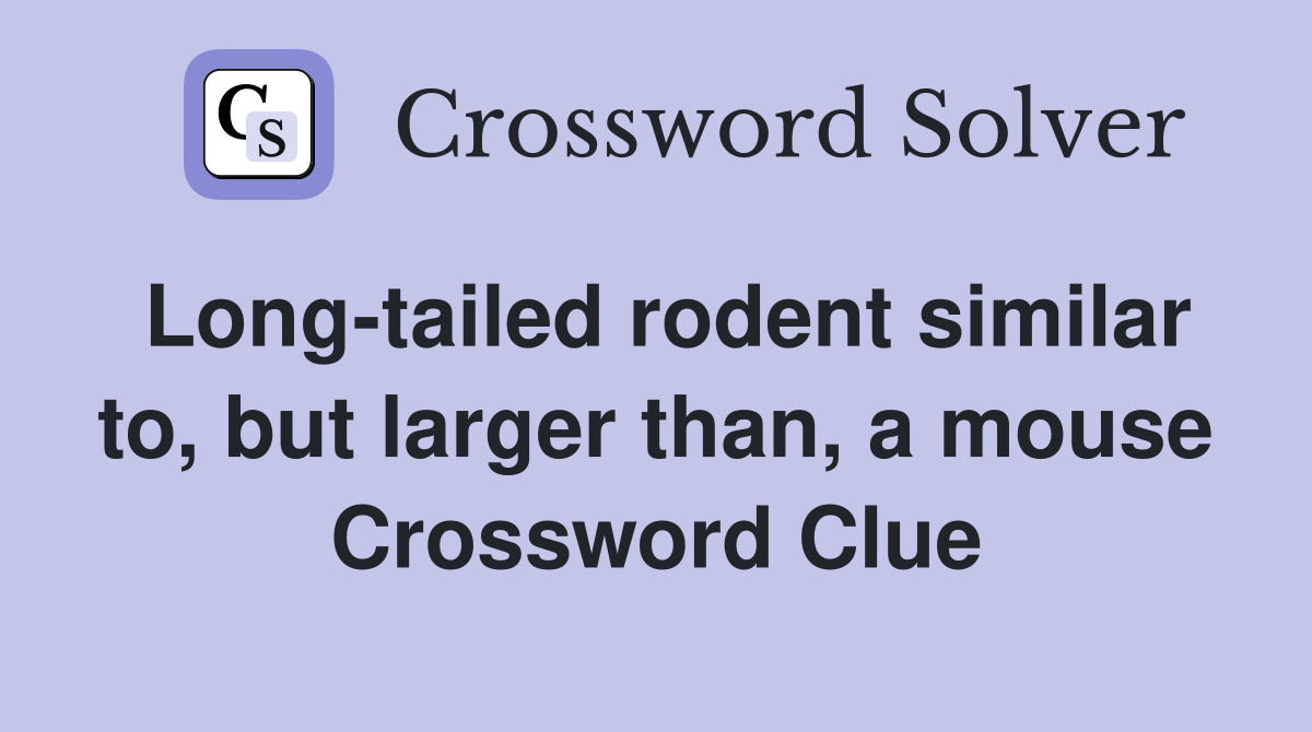 Long-tailed rodent similar to, but larger than, a mouse Crossword Clue