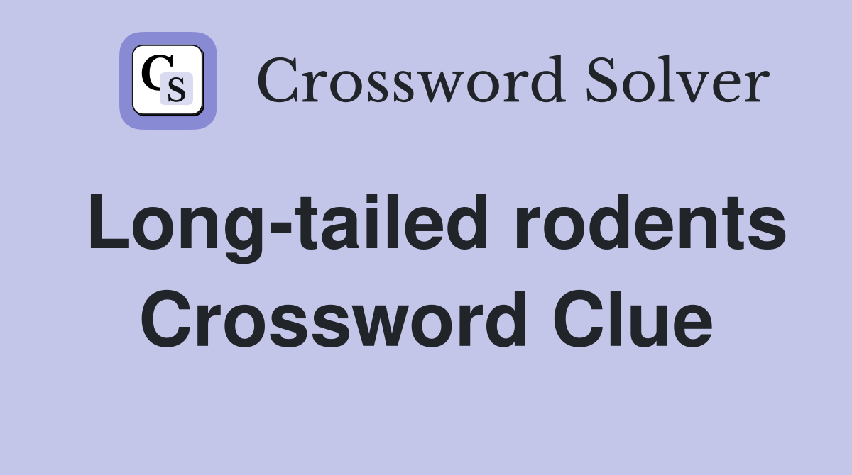 Long-tailed rodents Crossword Clue