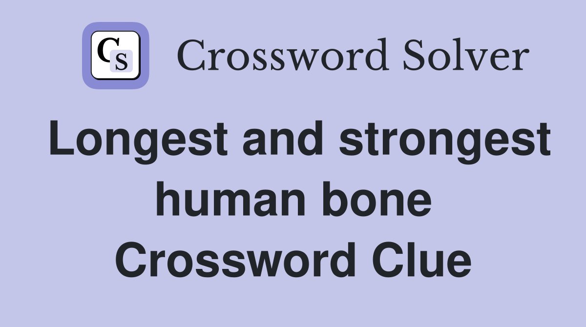 Longest and strongest human bone Crossword Clue