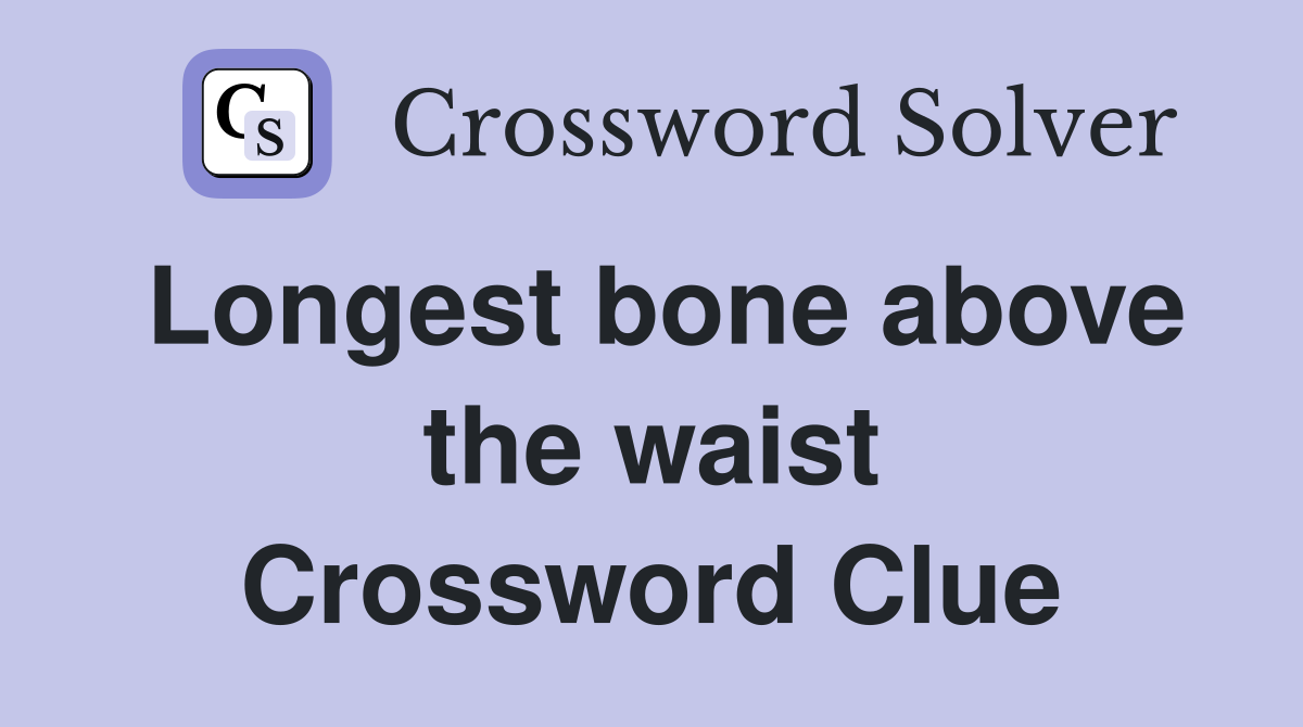 Longest bone above the waist Crossword Clue