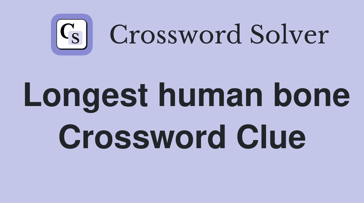 Longest human bone Crossword Clue