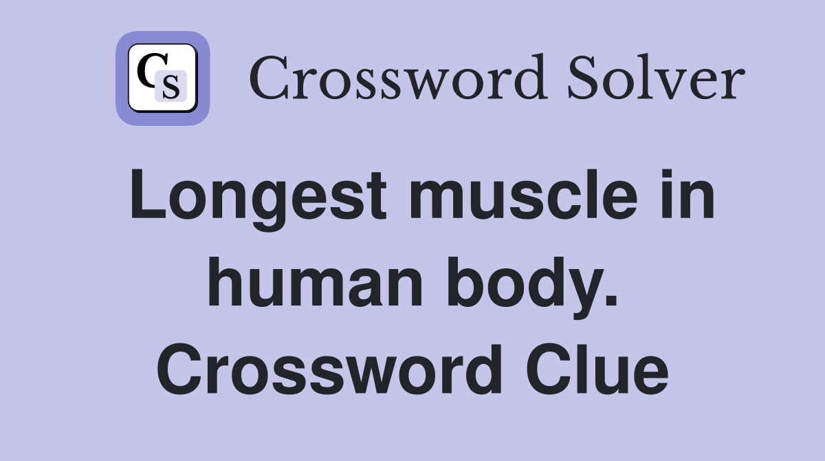 Longest muscle in human body. Crossword Clue