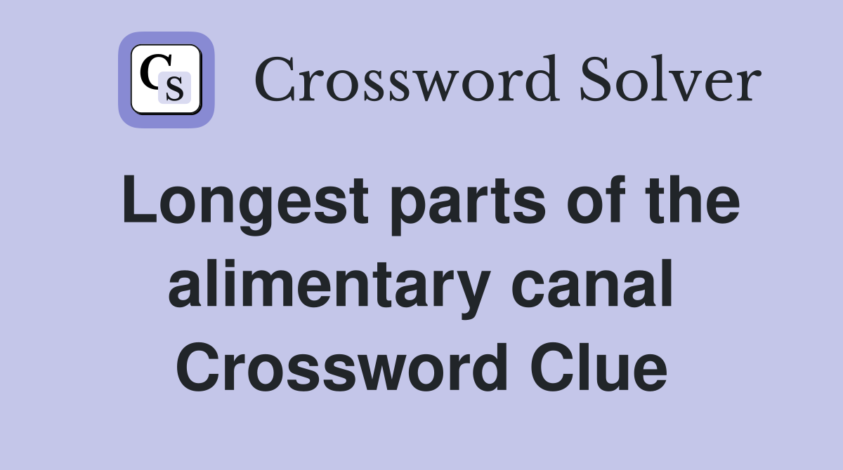 Longest parts of the alimentary canal Crossword Clue