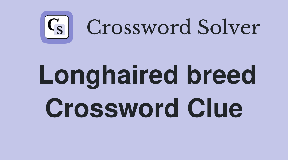 Longhaired breed Crossword Clue