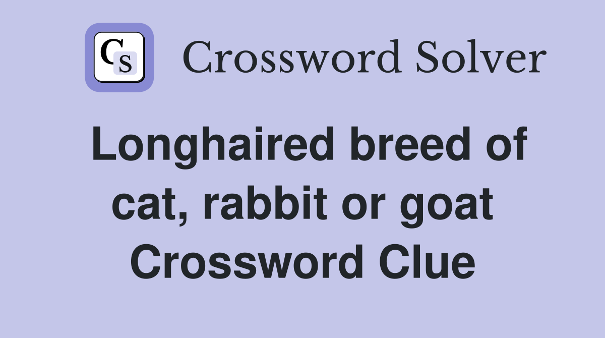 Longhaired breed of cat, rabbit or goat Crossword Clue