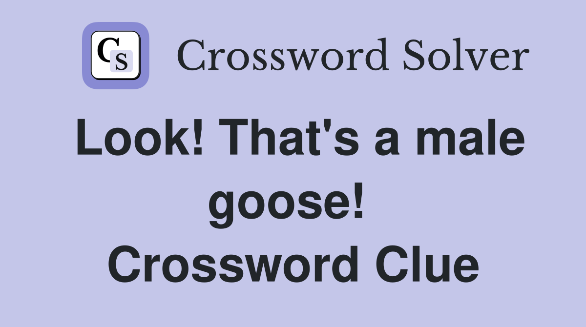 Look! That's a male goose!  Crossword Clue