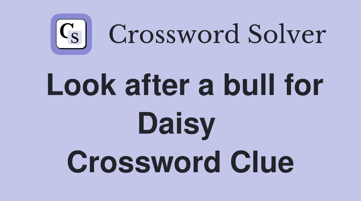 Look after a bull for Daisy  Crossword Clue