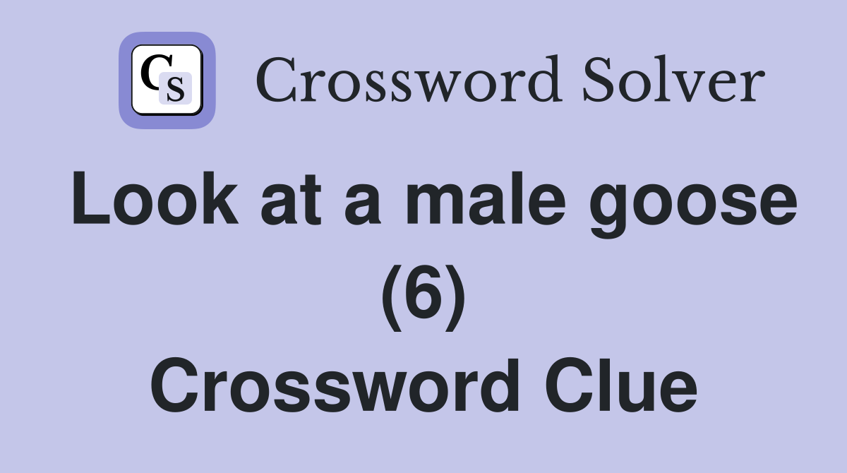Look at a male goose (6) Crossword Clue