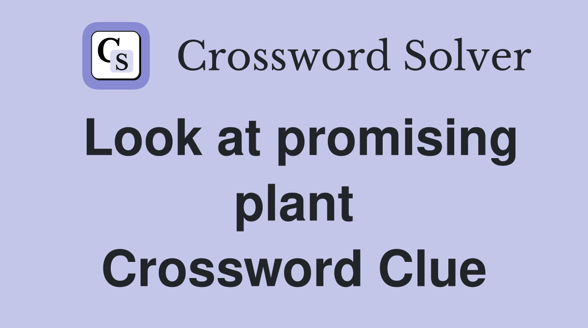 Look at promising plant Crossword Clue