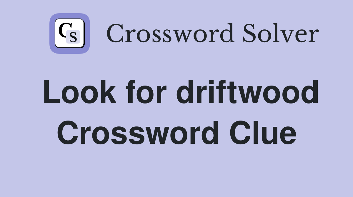 Look for driftwood Crossword Clue
