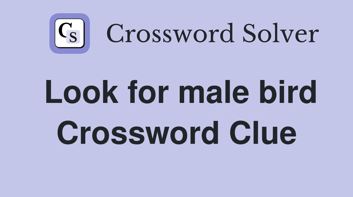 Look for male bird Crossword Clue