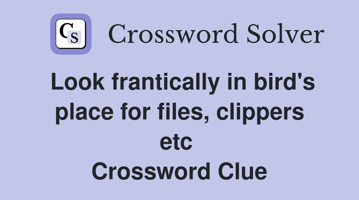 Look frantically in bird's place for files, clippers etc  Crossword Clue
