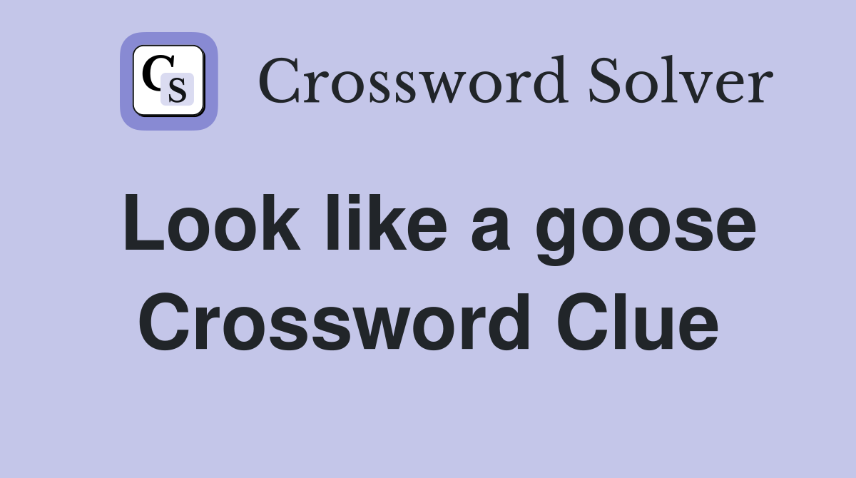 Look like a goose Crossword Clue