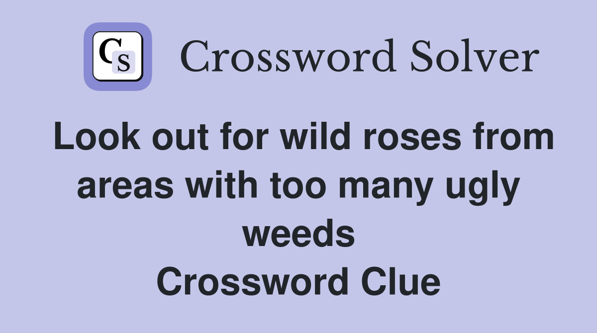 Look out for wild roses from areas with too many ugly weeds Crossword Clue