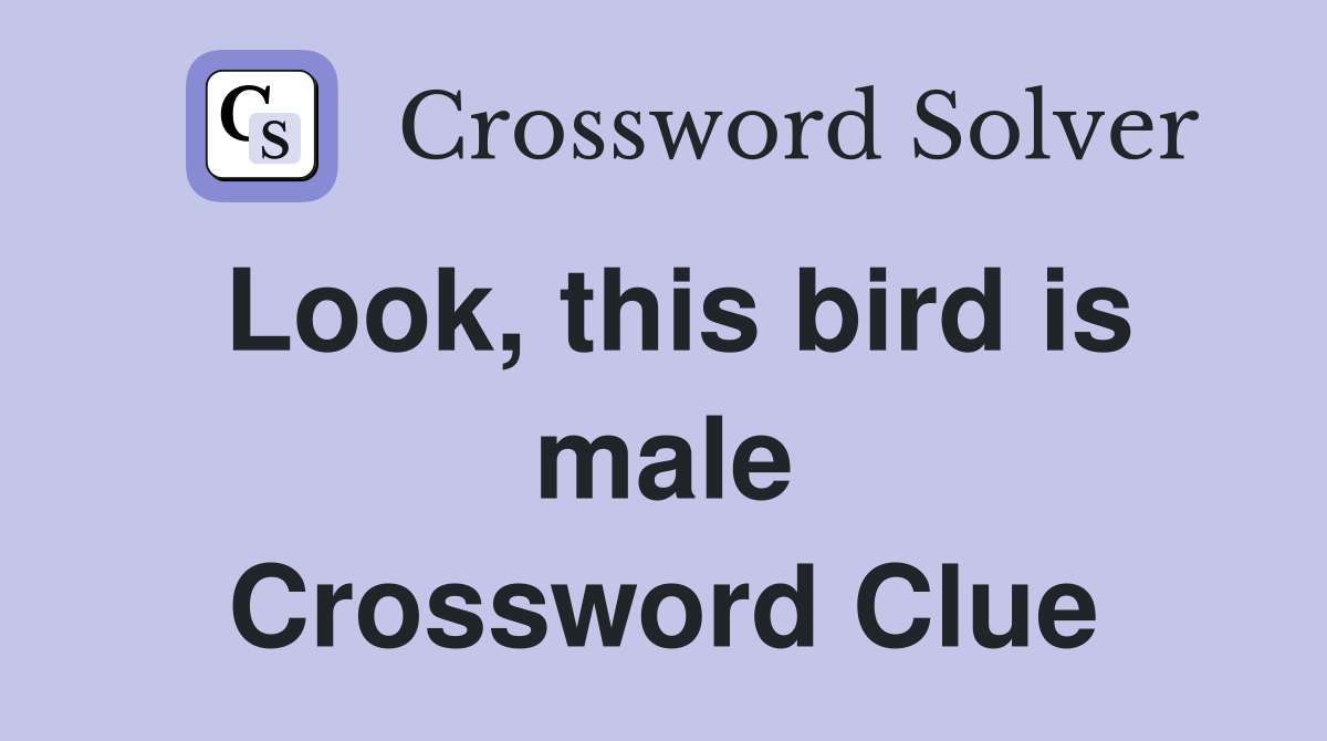 Look, this bird is male Crossword Clue
