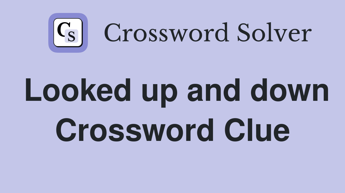Looked up and down Crossword Clue