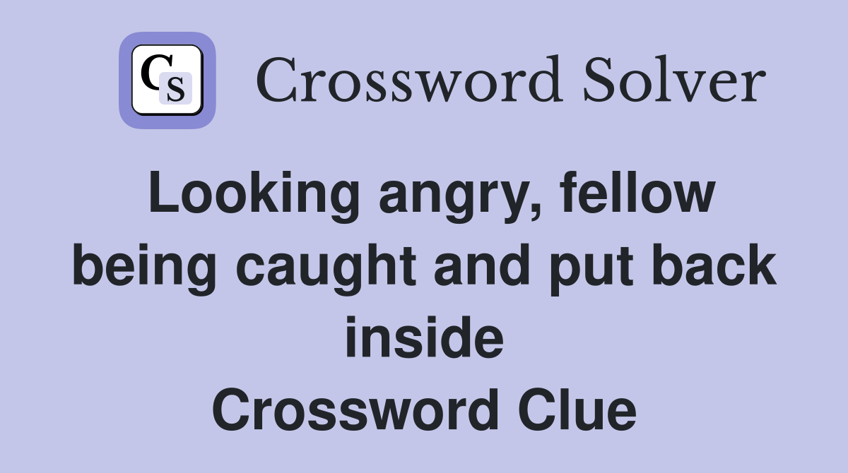 Looking angry, fellow being caught and put back inside Crossword Clue