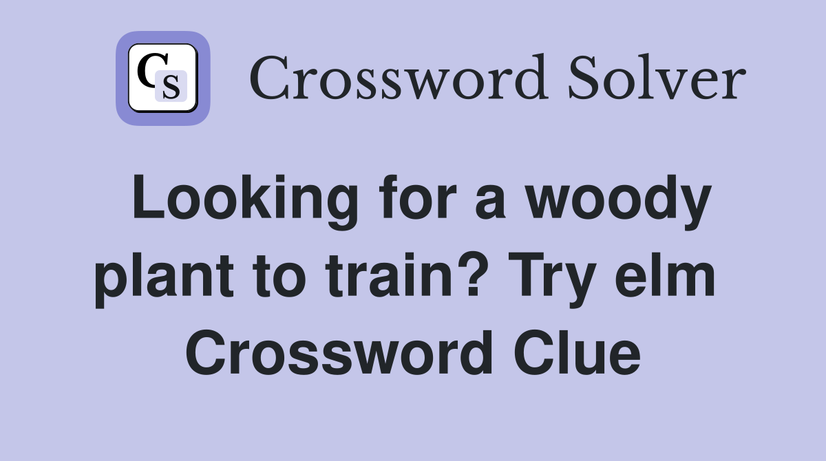 Looking for a woody plant to train? Try elm  Crossword Clue