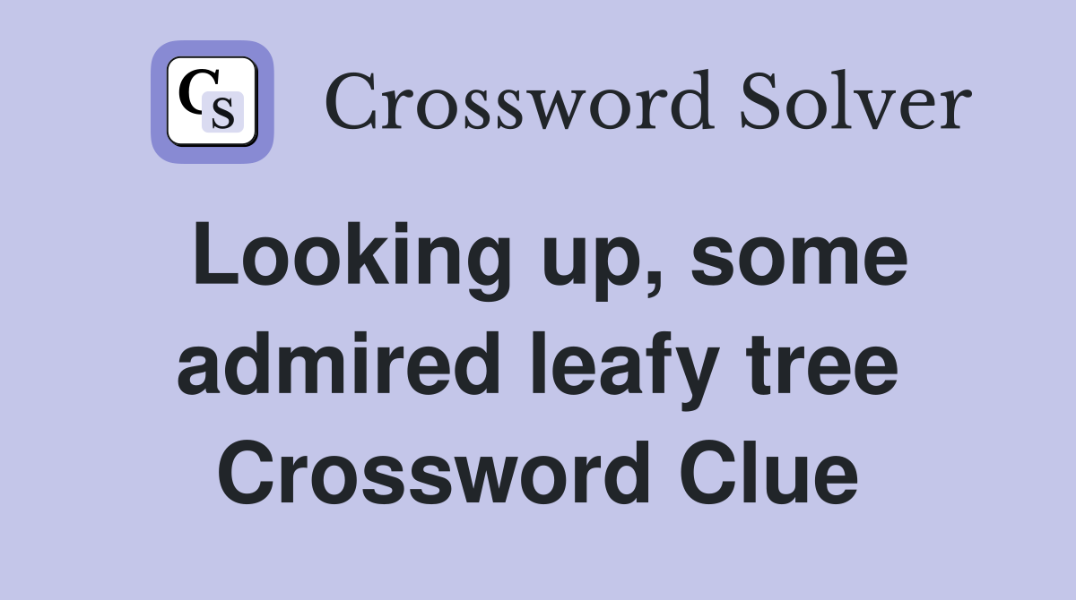 Looking up, some admired leafy tree Crossword Clue