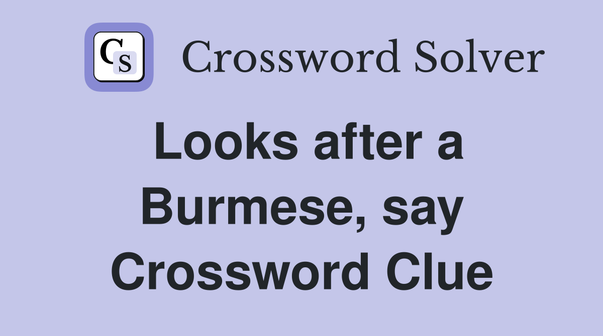 Looks after a Burmese, say Crossword Clue