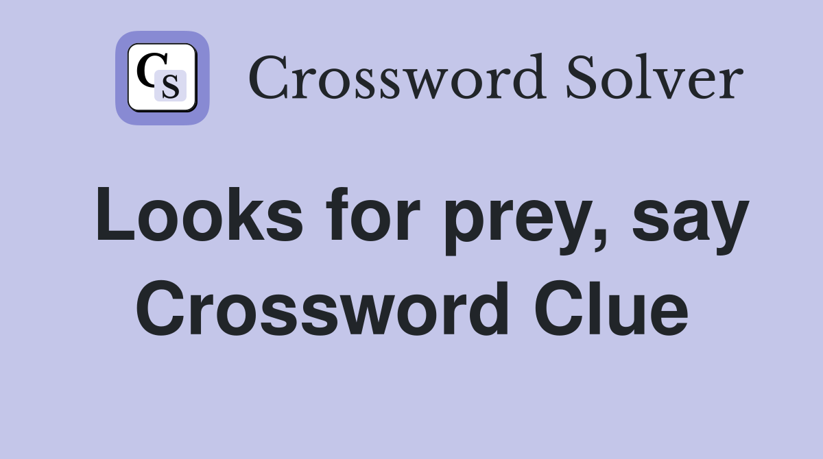 Looks for prey, say Crossword Clue