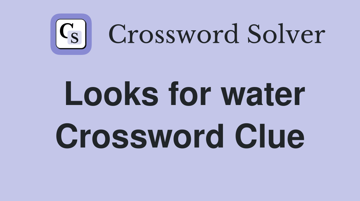 Looks for water Crossword Clue