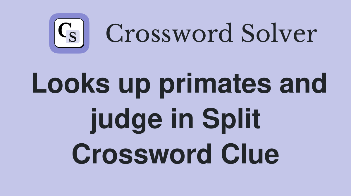 Looks up primates and judge in Split Crossword Clue