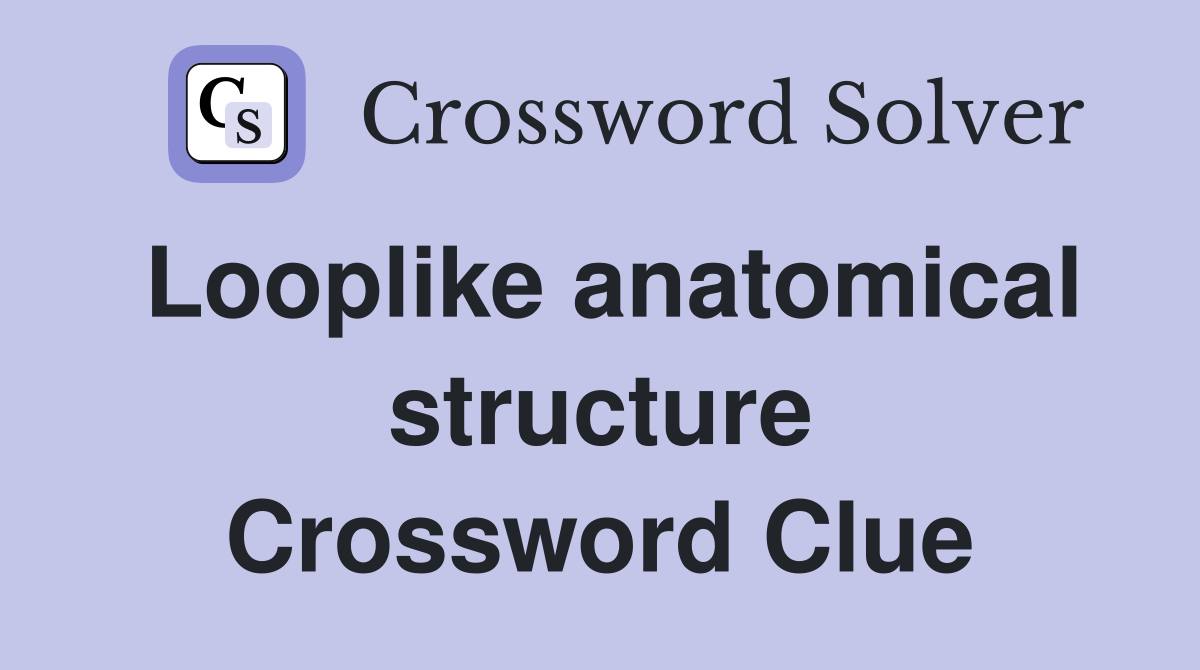 Looplike anatomical structure Crossword Clue