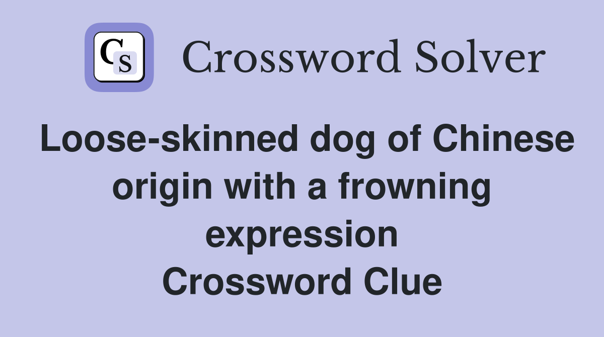Loose-skinned dog of Chinese origin with a frowning expression Crossword Clue