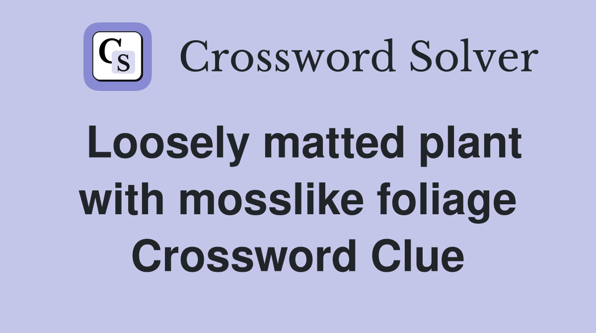 Loosely matted plant with mosslike foliage Crossword Clue